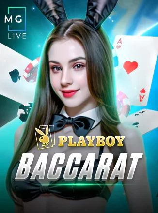 BaccaratPlayBoy